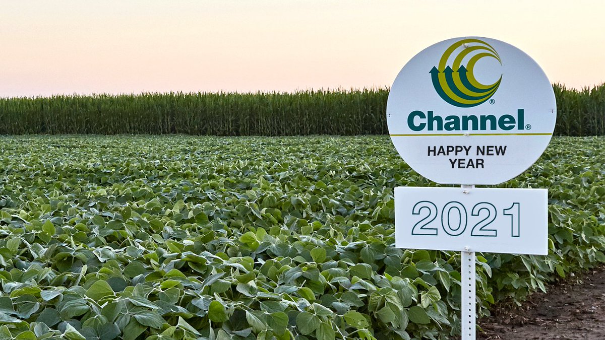 ChannelSeed's tweet image. Happy New Year! RT if you’re excited for another great year in your fields. #HappyNewYear