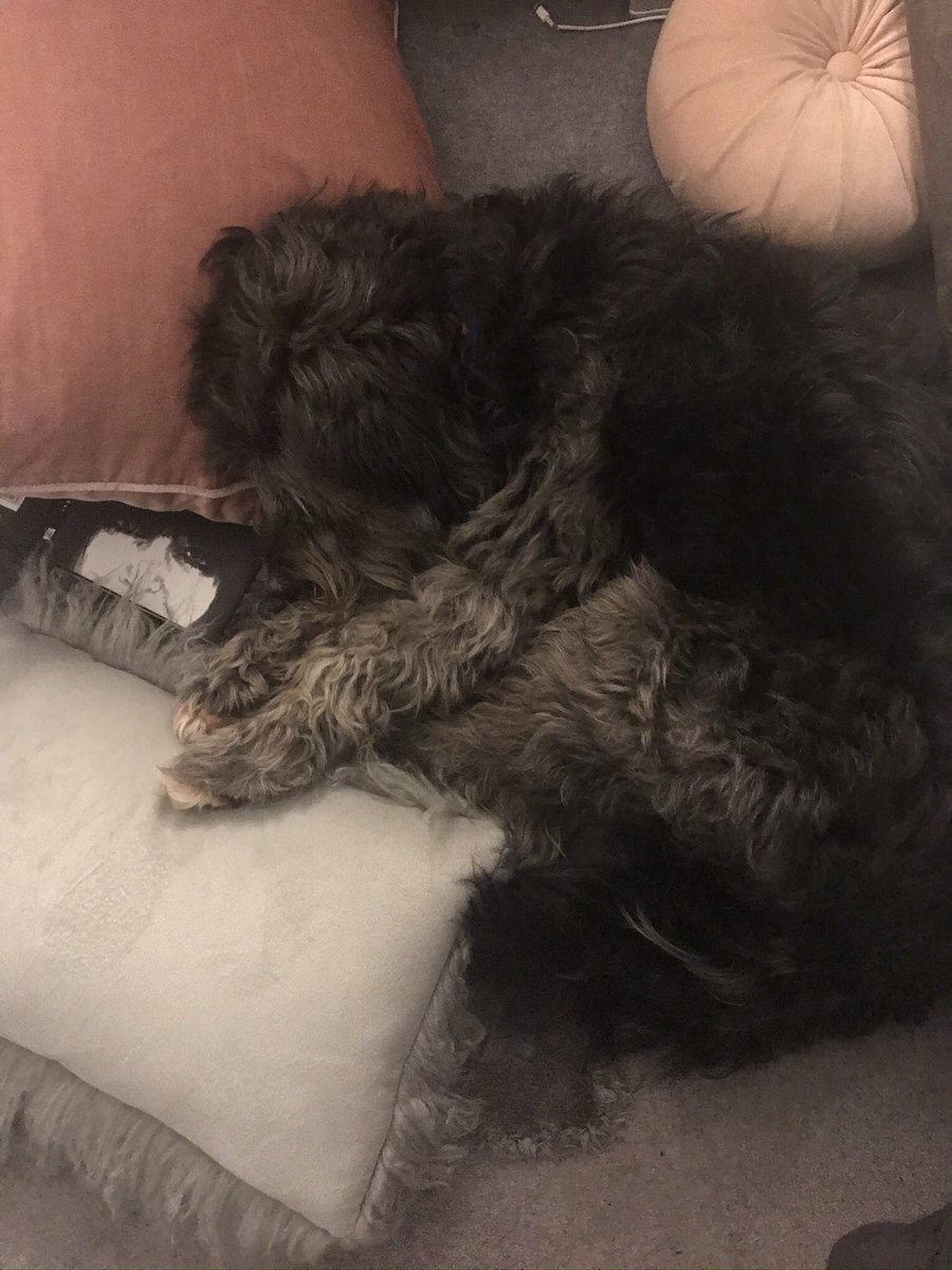 Charlene Guild tweet media