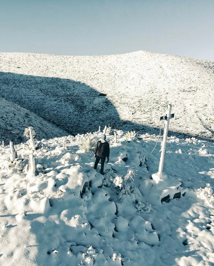 vamonosdetourmx's tweet photo. Real de Catorce, pueblo fantasma de #SanLuisPotosí cubierto de nieve ❄️🏔️ #México #Turismo

📷 @brunopeterp https://t.co/mYwV1gLUNG