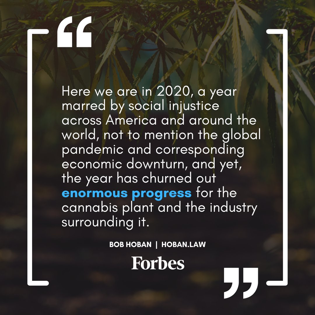 Congress has finally done its job – at least the House of Representatives - by voting to advance federal cannabis legalization. The U.S. Senate is another story altogether. Read more: hubs.li/H0CL-Np0 #cannabis #cannabisreform #cannabis2020 #2020 @Forbes @Robert_Hoban