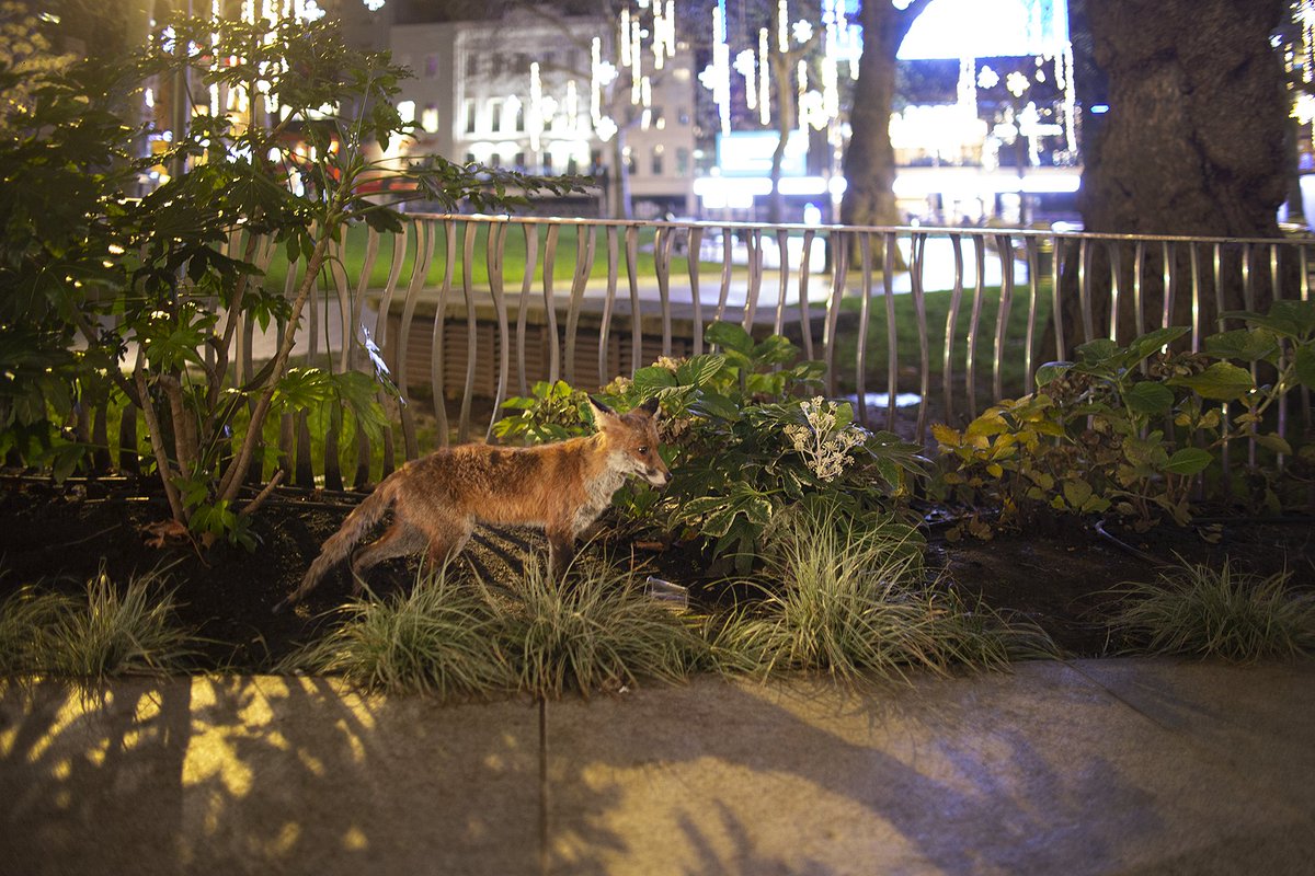 dan barker tweet media