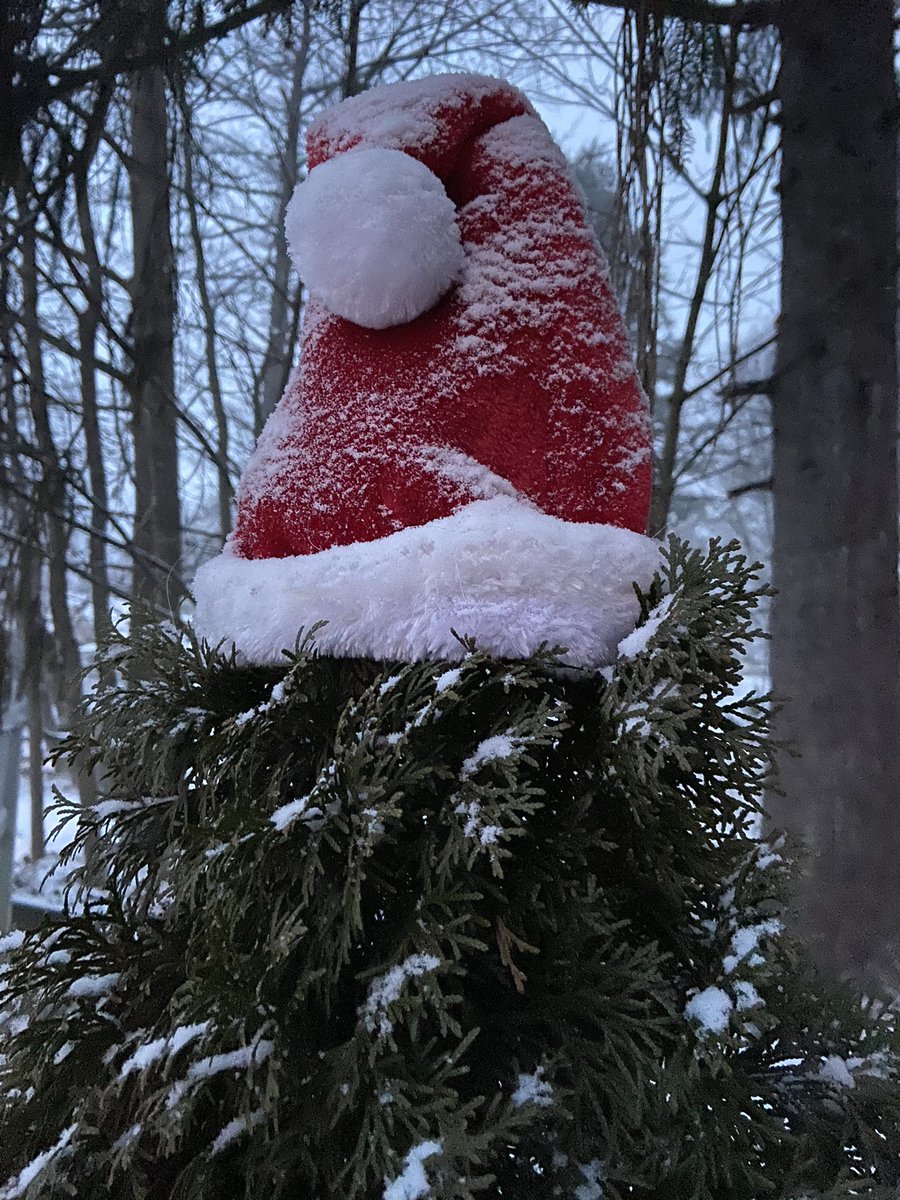 #mcallsnow