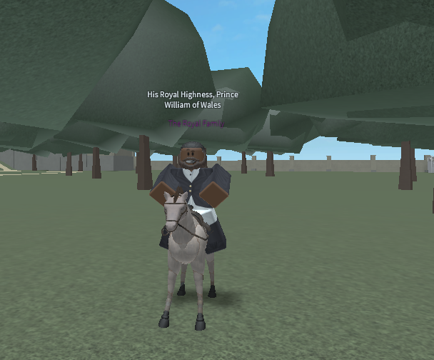CukRoyal's tweet photo. His Royal Highness the Prince of Wales was seen today tending to his horses and having a ride outside of Hillsborough Castle this evening. The Prince of Wales stated he loves the outdoors and animals and looks forward to doing more outdoor activities. https://t.co/N3E0YFDslA