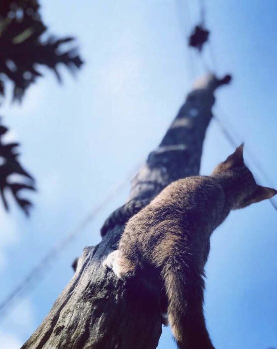 Kay$hankY tweet media