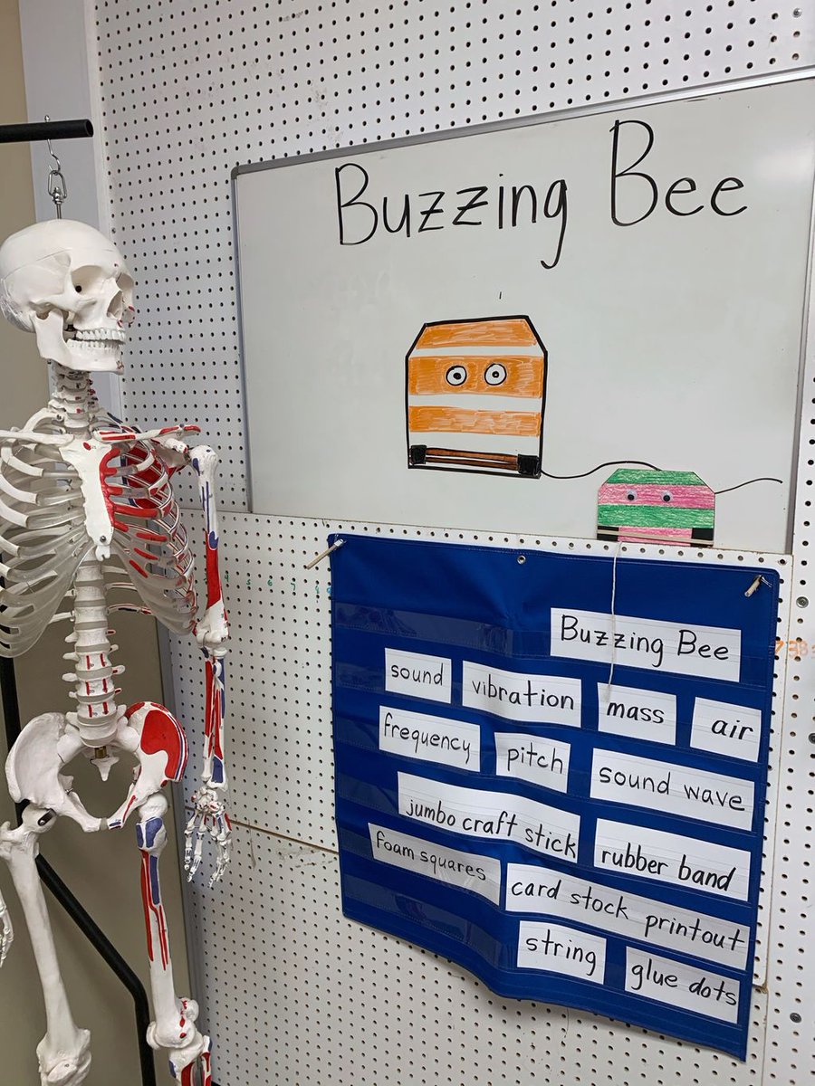 CSWNet's tweet image. Mr. Bones is jazzed about building the Buzzing Bee with Wilson students this week!

#CSW #CSWN #virtualCSW #communityscienceworkshop #STEMlearning #STEMathome #STEMprojects