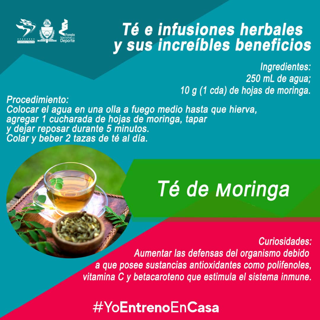 Conoce el árbol de moringa y sus beneficios | Mexicanal.com, image size:1080x1080
