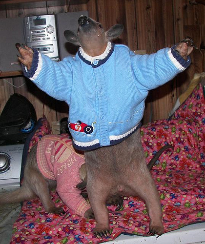 wilbur soot as anteaters: an extremely needed thread