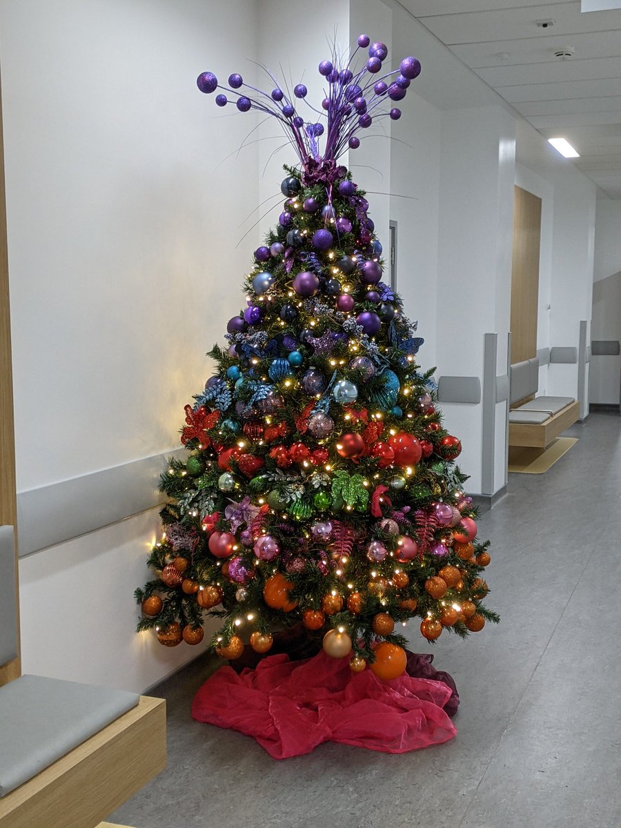 ChristmasEdin's tweet photo. @RIE_Lothian give us the opportunity to say a huge #ThankYou to the #NHSheroes we installed an amazing rainbow tree and garland at the Sick kids unit. Thanks for the support Charlotte Garvie and our HQ https://t.co/e0lD0qSlqa