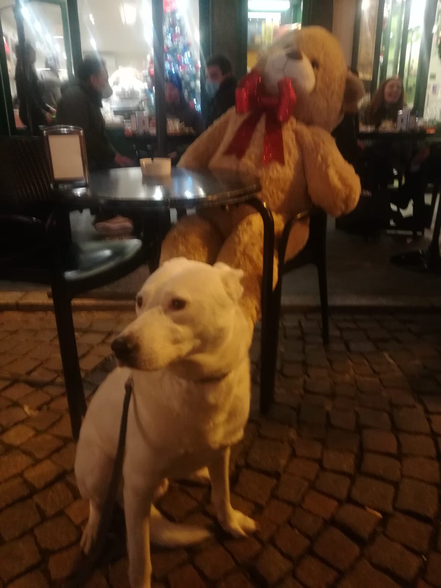 ADOTTA UN CUORE*CONDIVISIONI*APELL tweet media