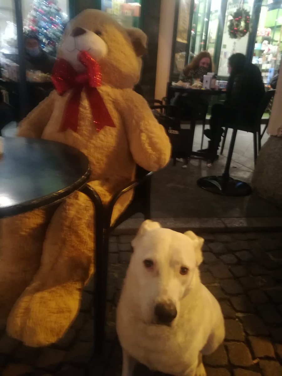 ADOTTA UN CUORE*CONDIVISIONI*APELL tweet media