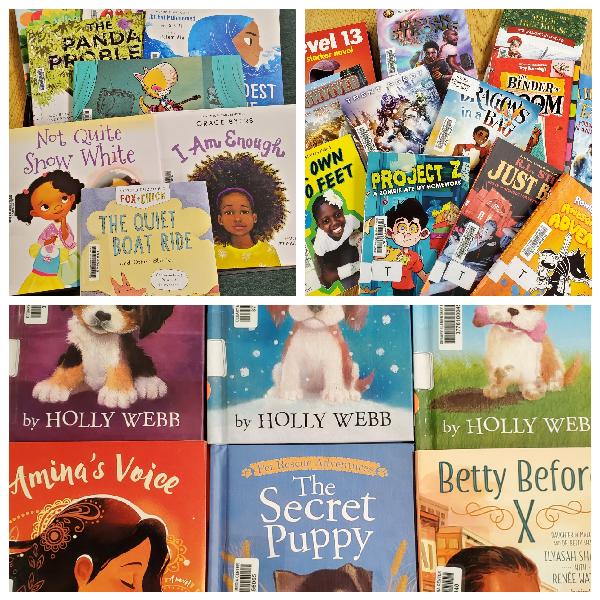 New books for DeBary Eagles to enjoy.