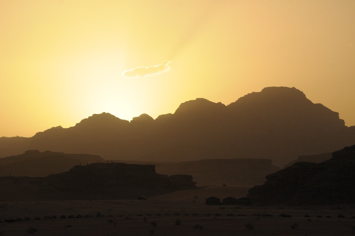 Another beautiful story from the @UNDPabs team. 
#DYK the value of #AccessAndBenefitSharing in Jordan? Read about this ♀️ coop protecting #biodiversity using their traditional knowledge in Wadi Rum valley: stories.abs-sustainabledevelopment.net/how-to-grow-pl…

#theABSweALLneed