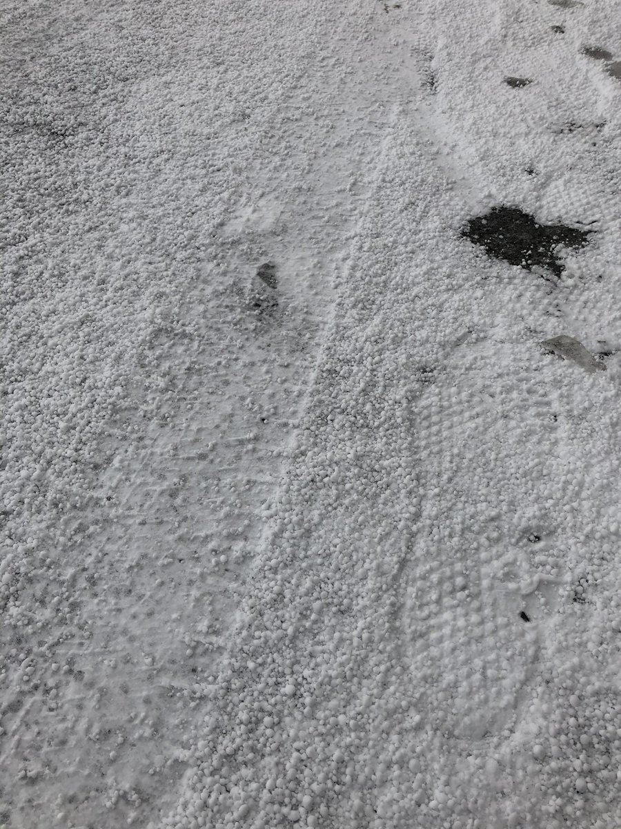 Nyanko3223 朝です こちらは雪 と言っても風が強いので積もるほどではありません でもアイスバーン の上にアラレが降って来て 車 はみんなノロノロ運転です 今の道路の状態です Nyanko3223 朝です こちらは雪 と言っても風が強いので積もるほどではありません でもアイスバーン の上にアラレが降って来て 車 はみんなノロノロ運転です 今の道路の状態です