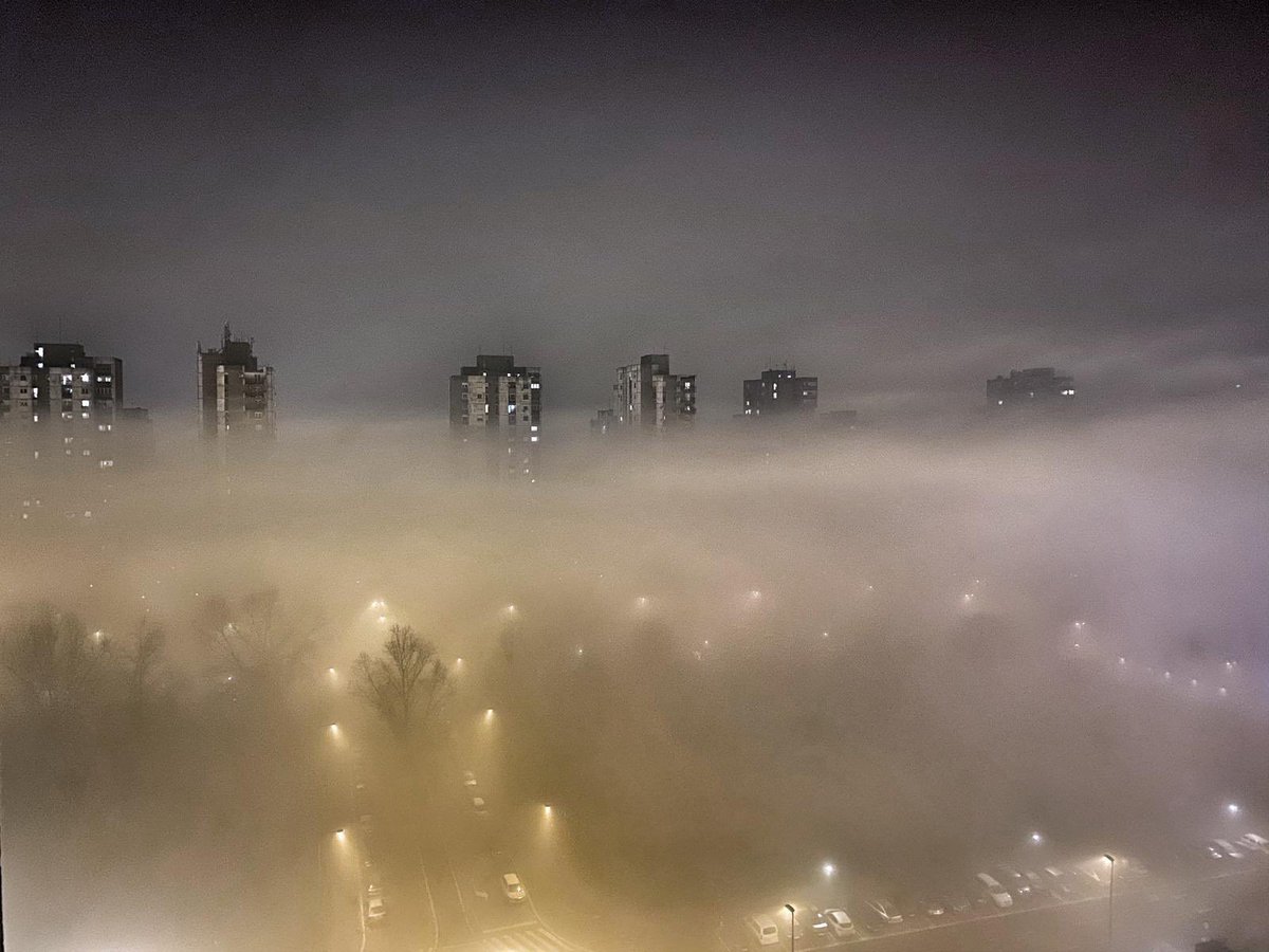 Miloš Damnjanović tweet media