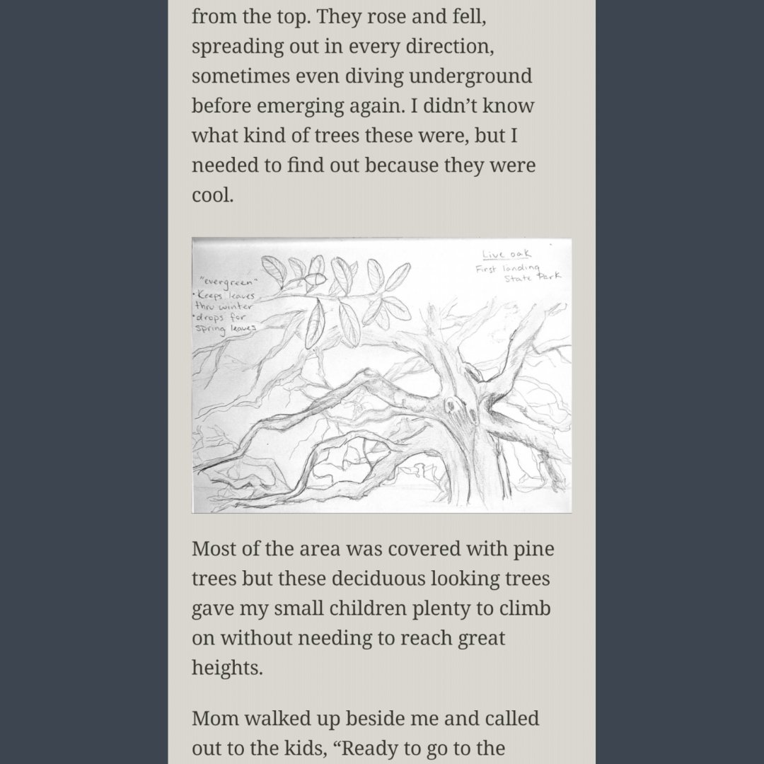 NeverEndingFT's tweet photo. I'm pretty excited over here because my first edition of Field Notes is ready to go! It's still pending on Amazon/Google Play Books, but if you want to be one of the first to check it out you subscribe on Patreon to get our Field Notes first each month!

https://t.co/ohHyPR0cdx https://t.co/IBmWR2hvf7