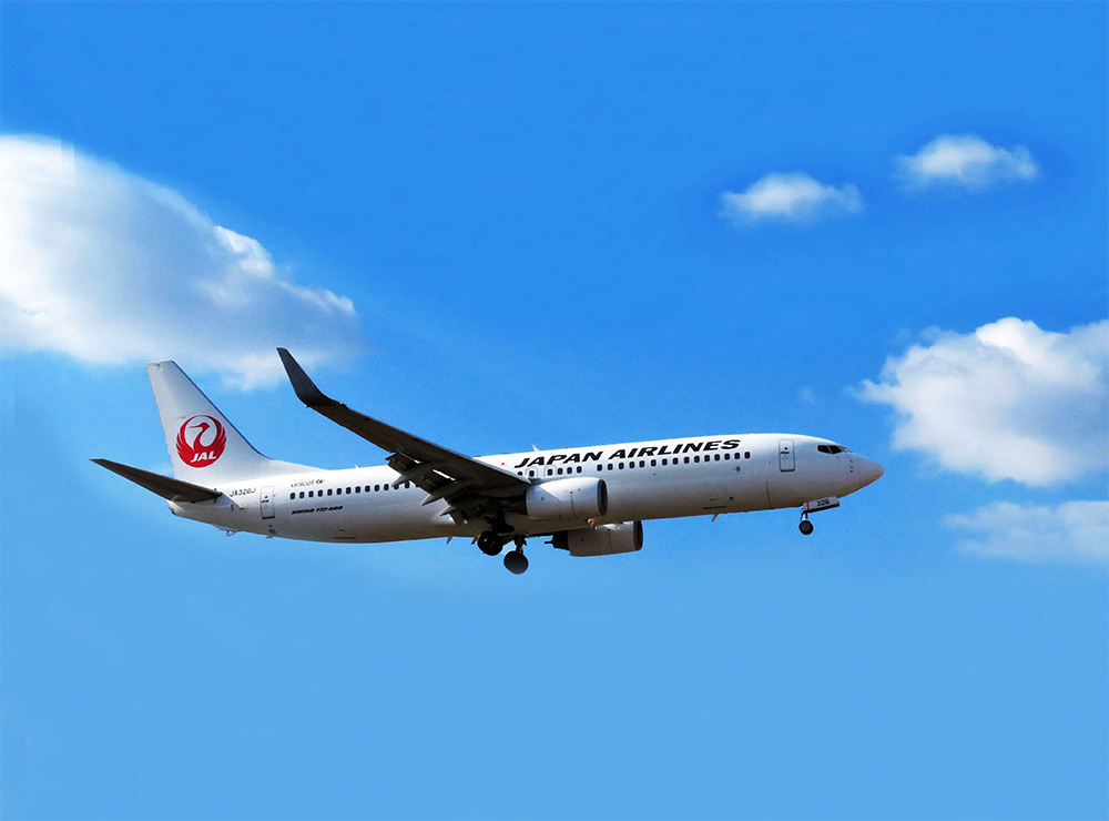 تويتر Japan Airlines Jal على تويتر どうも Jalの中の人です W ノおはじゃる 今日は 飛行機の日 皆さんは どんな飛行機写真を撮るのが 好きですか ๓ ๓ 飛行機 ヒコーキ 空と飛行機 影と飛行機 T Co Yorane8nut تويتر Japan Airlines Jal على تويتر どうも Jalの中の人です W ノおはじゃる 今日は 飛行機の日 皆さんは どんな飛行機写真を撮るのが 好きですか ๓ ๓ 飛行機 ヒコーキ 空と飛行機 影と飛行機 T Co Yorane8nut