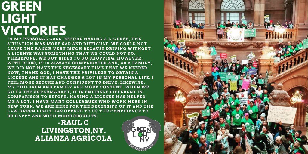Green Light NY: DT tweet media