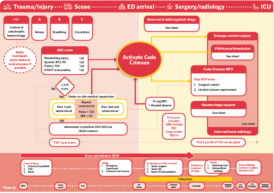 HQSCNZ's tweet photo. The Commission has released a practical guide for clinical staff to use to inform their care of critically haemorrhaging trauma patients and to advise clinical governance discussions. Find the guide and supporting resources on the Commission’s website: https://t.co/gwWyhX3oml https://t.co/hK0NlZuO7i