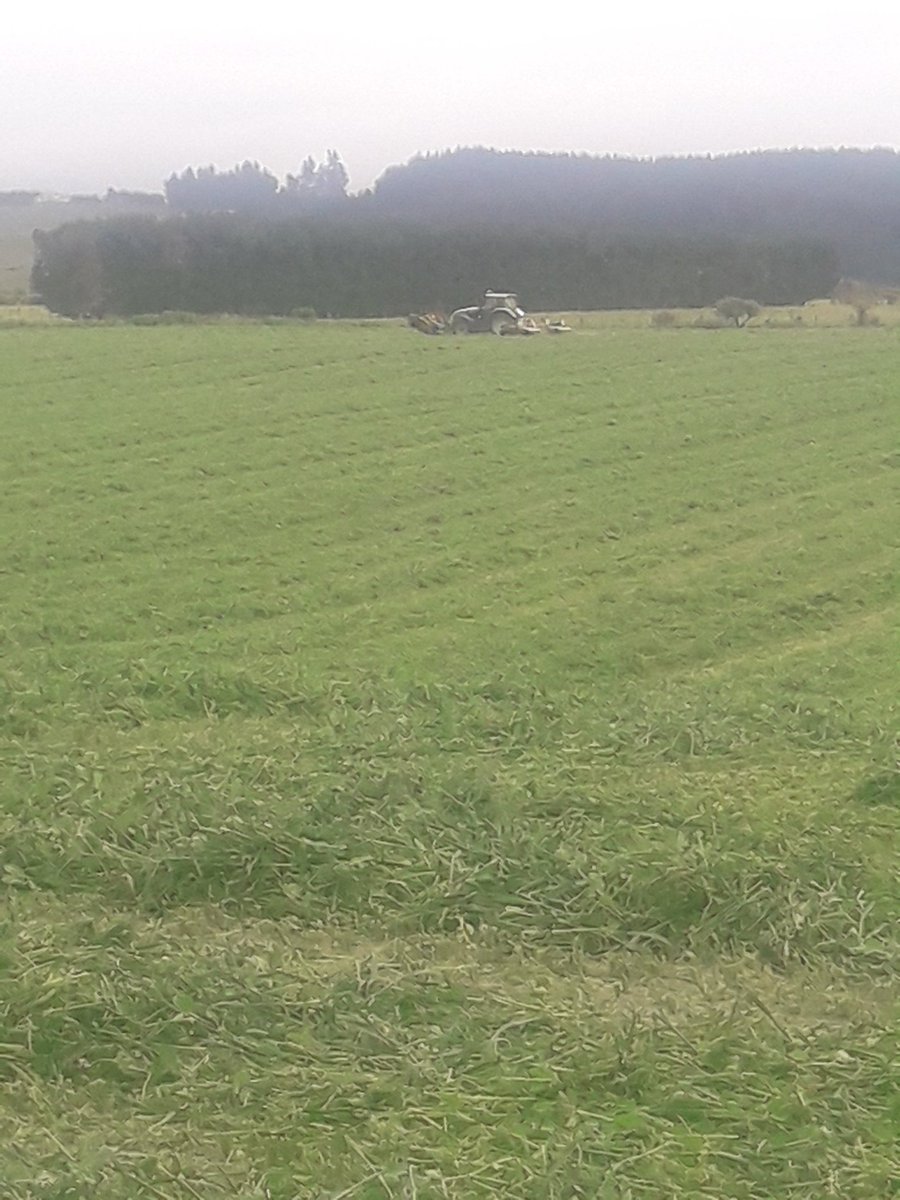 CharollaisRams's tweet photo. Well that's some of Saturday sorted. Peas/oats cut today bale & wrap Saturday #balage #lochee https://t.co/nMScLuHz3t