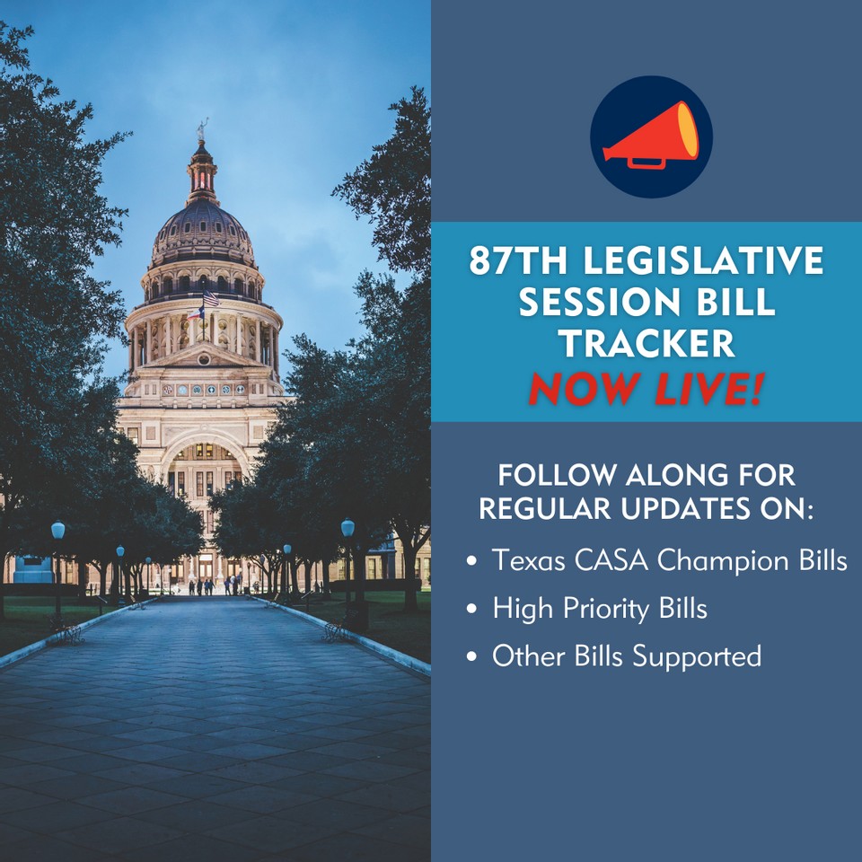 TexasCASA's tweet photo. The Bill Tracker for the 87th Legislative Session is now live! Texas CASA will be updating the tracker regularly as legislators continue filing their bills. We're following key legislation impacting the Texas child welfare system. #txlege 

https://t.co/ipqBapwu8B https://t.co/BEcyQnlFJ8