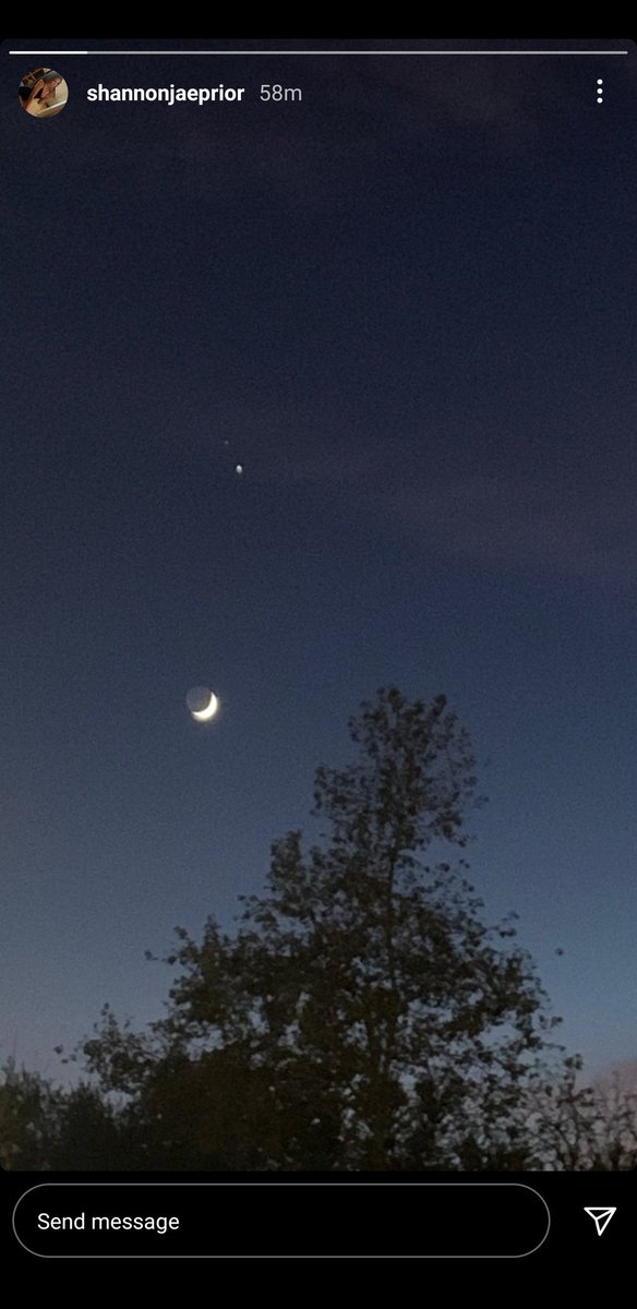 g࿐₊˚‧ tweet media