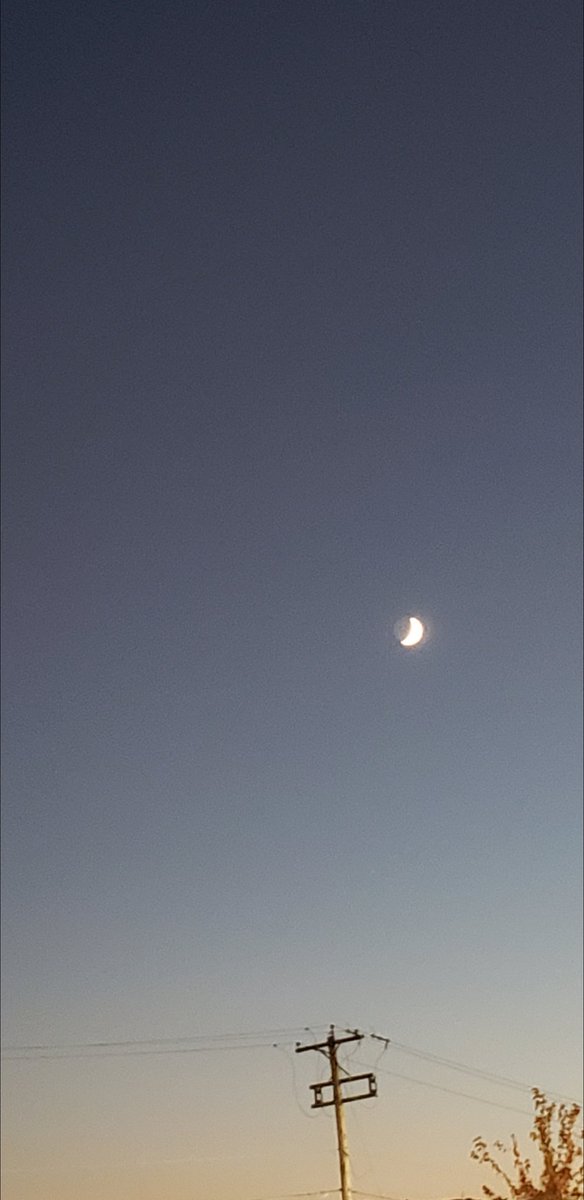 g࿐₊˚‧ tweet media