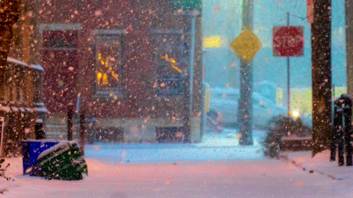 RyanKoletty's tweet photo. #snowday https://t.co/giwgfhxbfI