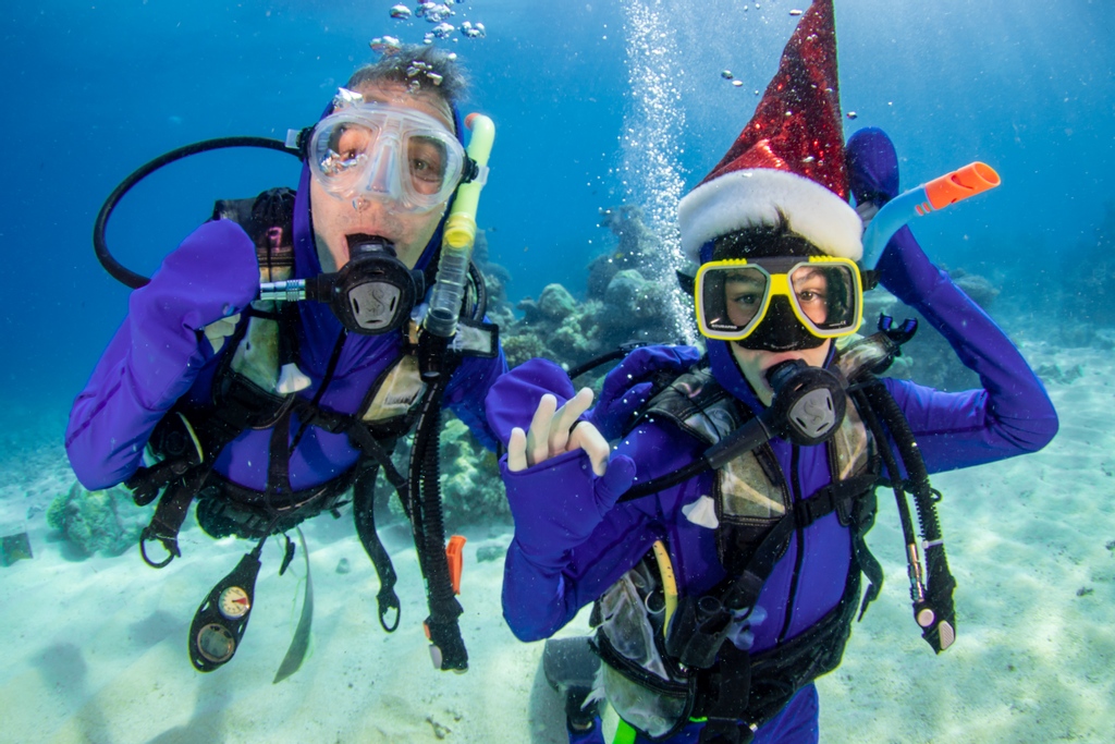 reefexperience's tweet photo. 🎄 Make it a #December to Remember! 🎄

Join us over the #Christmas period, and make some everlasting memories! 

💻 https://t.co/wTlqFv5qT2 

#reefexperience #bestcrewonthereef #happinessfactor #HolidayHereThisYear #SummerChristmas #ChristmasDownUnder #SummerSanta https://t.co/Bf42gRbBmh