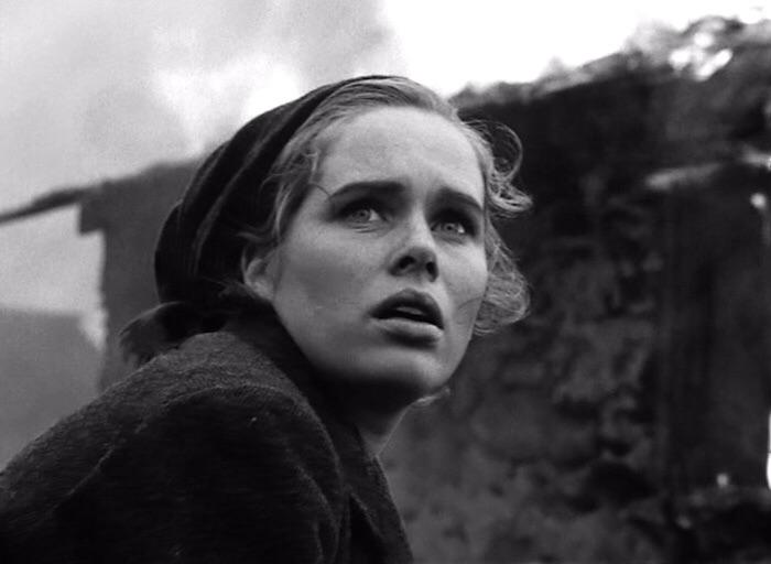 Happy Birthday Liv Ullmann. This is my favorite photo of this stunning woman. 