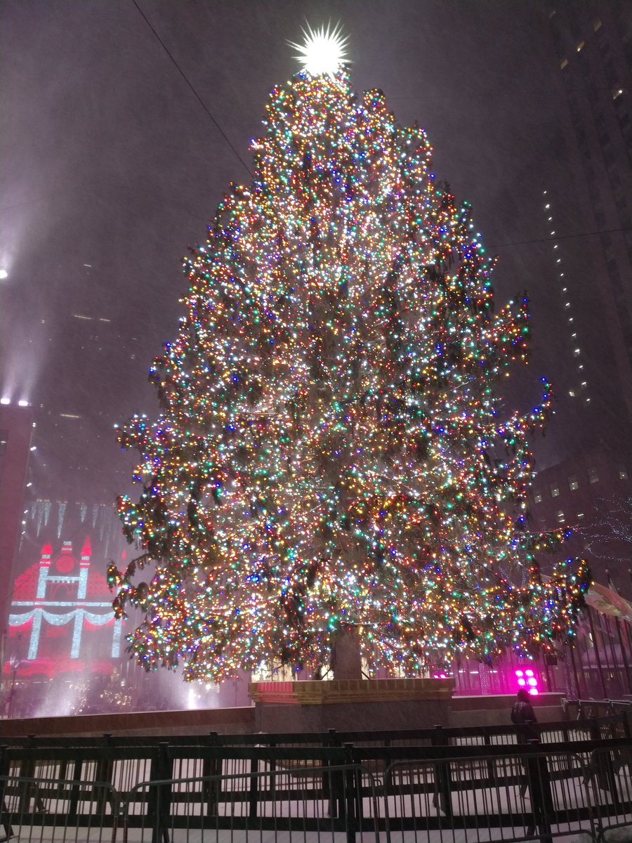 🎄30RockTree🎄 tweet media
