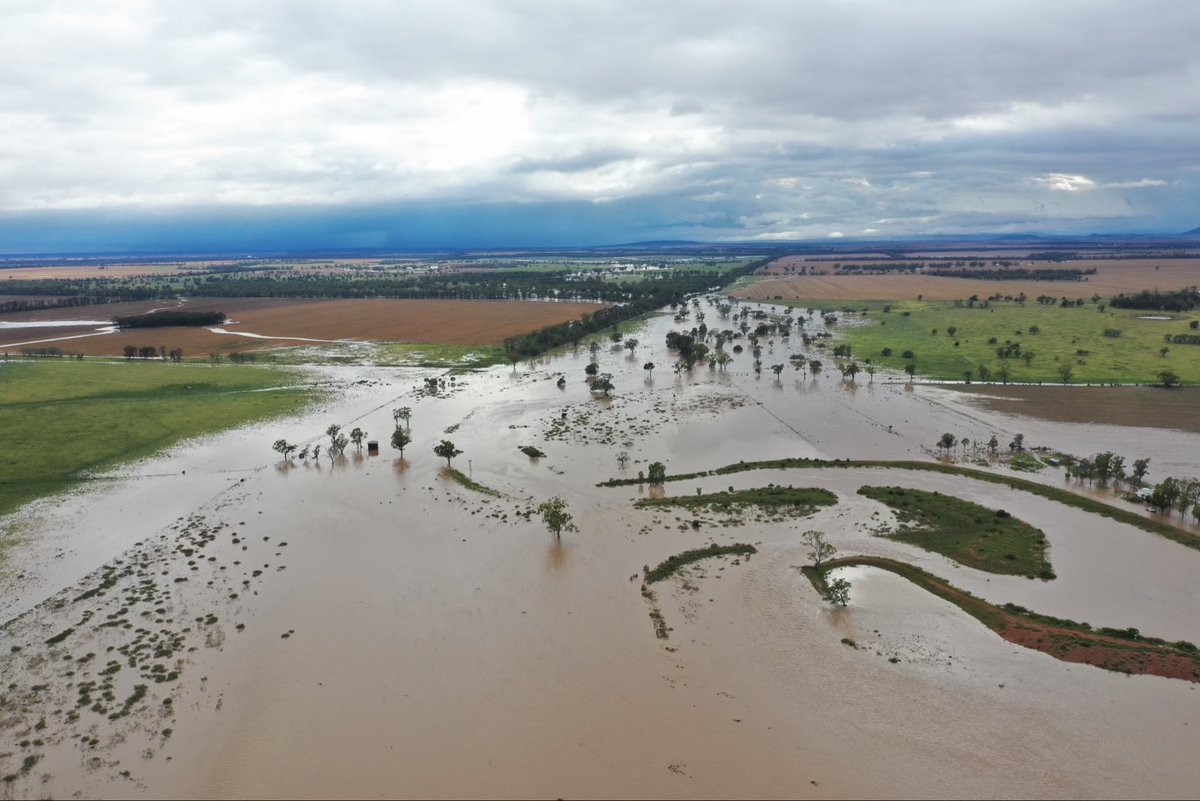 millbernasconi's tweet photo. Incredible shot from Mike McCue at #Bellata this morning after a drenching overnight and rain continuing today. Flood and weather warnings constantly being updated here: https://t.co/zmESDFbHw5
@ABCRural @BOM_NSW https://t.co/gMK6Rk0UXV