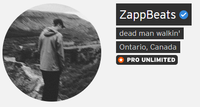 ZappBeats's tweet image. got the check thing but i still think it looks bad lol