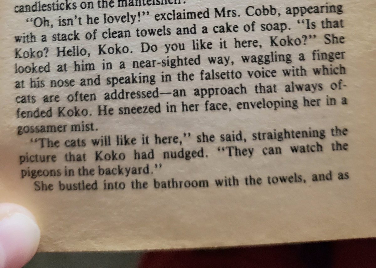 MZeebert's tweet photo. The first time Koko met Iris Cobb was pretty comical. I've always found that when approaching an unfamiliar cat you need to address them in a respectful tone, ala T.S. Eliot #TheCatwho https://t.co/mCEX2gy2WU