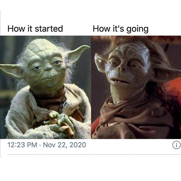 pgnts's tweet image. Are you a Yoda or a Yaddle?