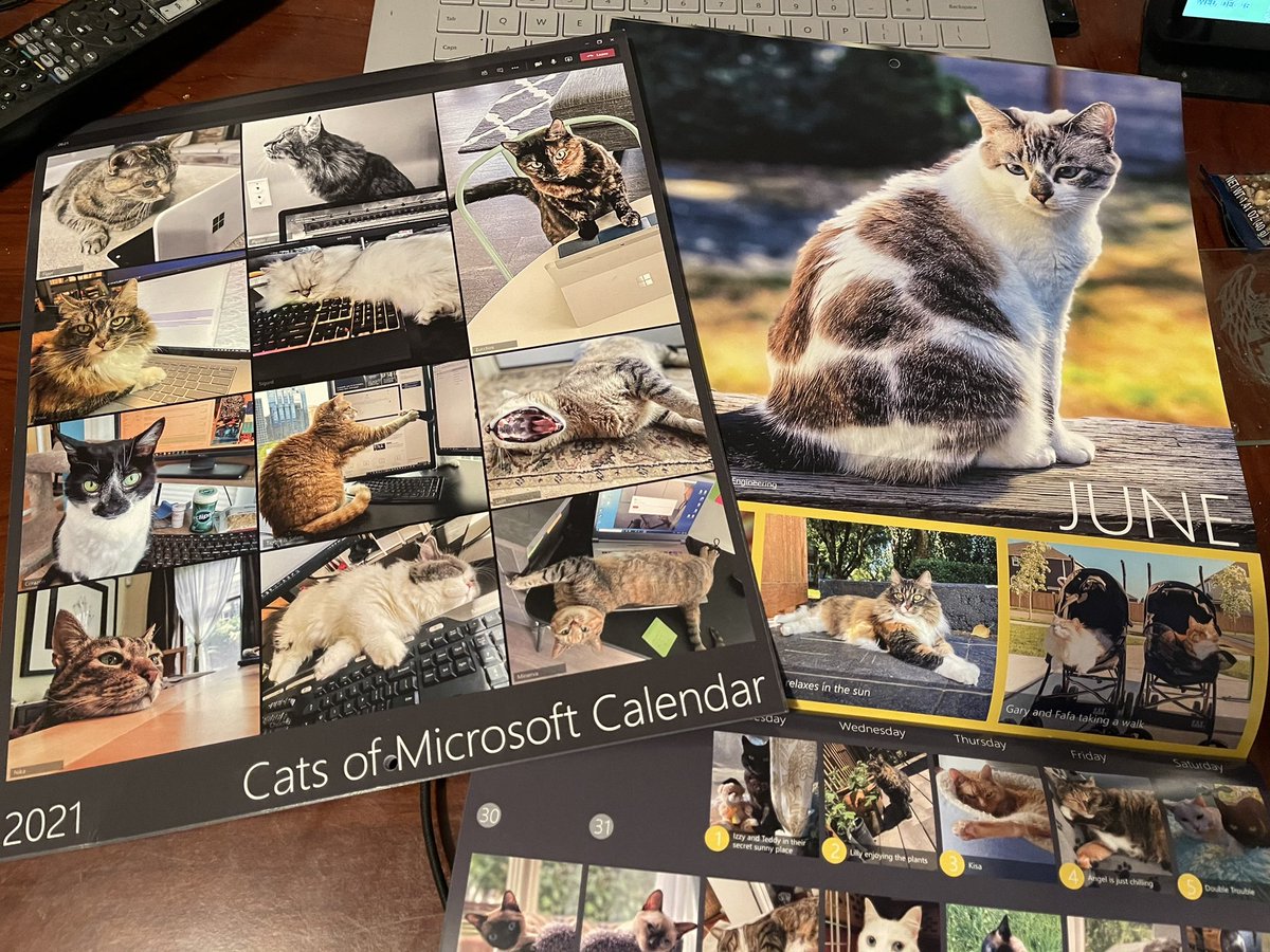 JoshHasDogs's tweet image. Tink being a cat had to one up the dogs and be featured for June in the #catsofmicrosoft calendar. Elsa and Nikko have multiple photos in the #dogsofmicrosoft calendar. #microsoftlife