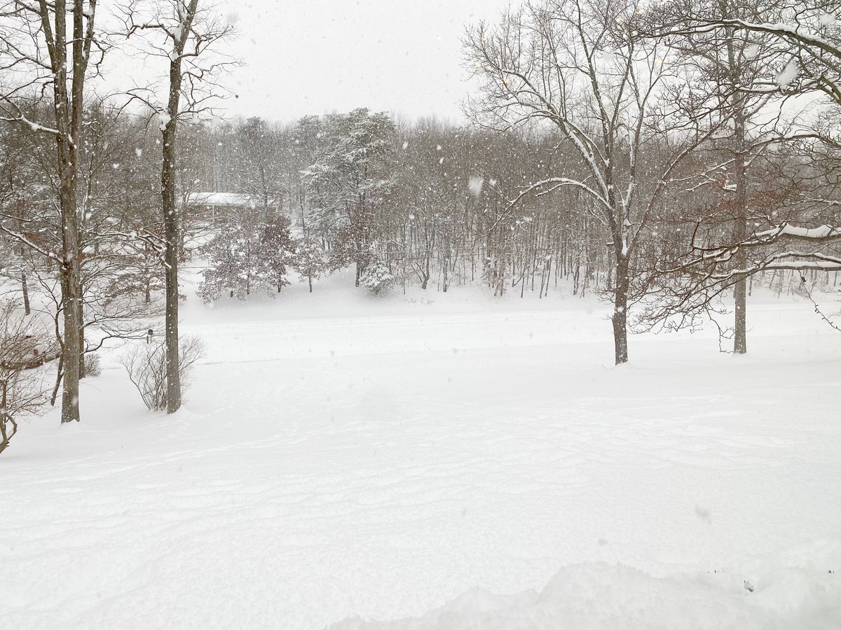 k_goes_running's tweet photo. Beautiful day in VA! ❄️ https://t.co/A6ev35c8Uk
