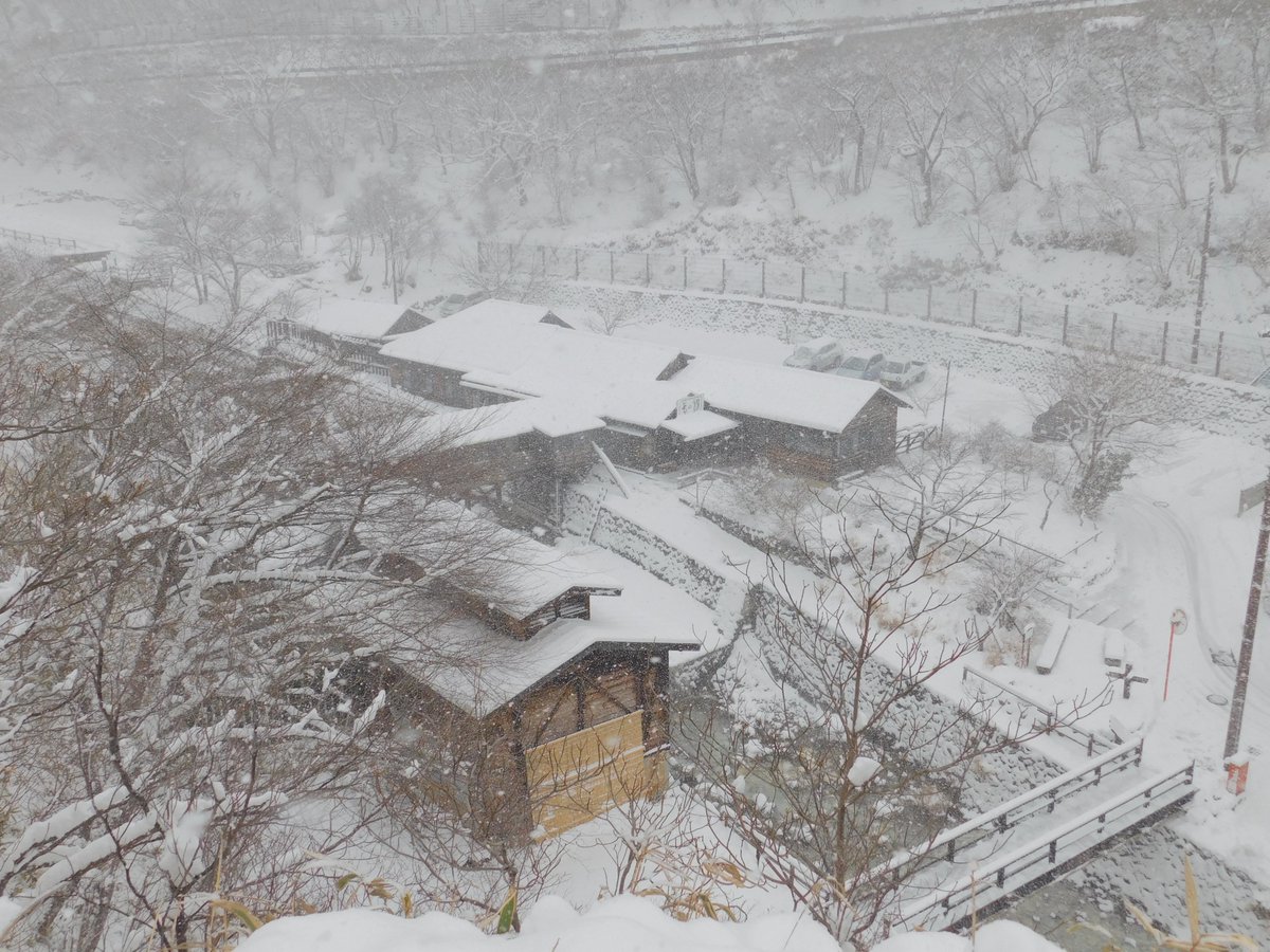 那須町観光協会 本日 那須高原は昨日にも増して降雪 積雪中です また 現在那須 湯本はすでに20 程の積雪になっています 車も人も冬装備必須です 那須町観光協会 本日 那須高原は昨日にも増して降雪 積雪中です また 現在那須 湯本はすでに20 程の積雪になっています 車も人も冬装備必須です