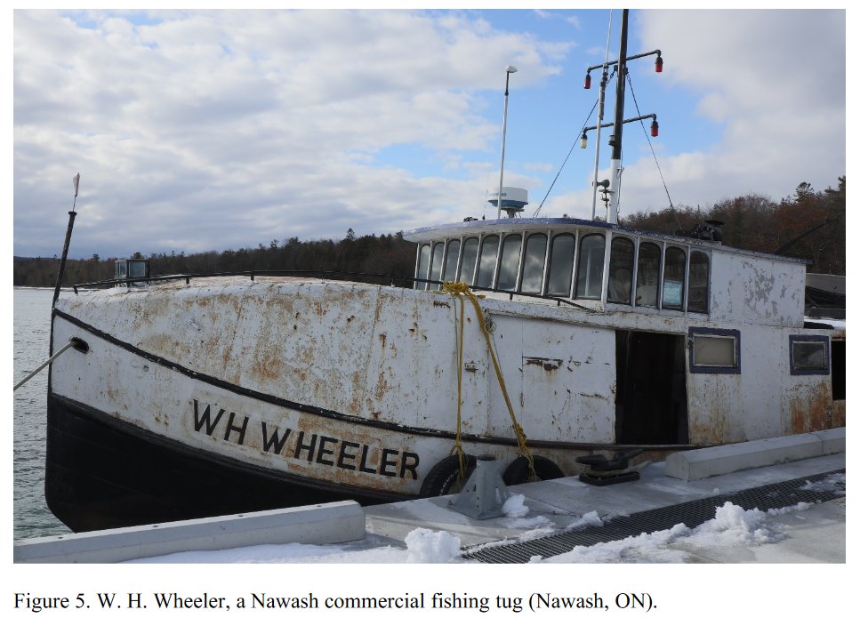 greatlakescisco's tweet photo. Master's thesis by A. Duncan @mylakehead: Local and traditional knowledge of the Saugeen #Ojibway Nation regarding the status of ciscoes in #LakeHuron. https://t.co/ZjFvZgyju2
#fishing #firstnations #indigenous #nativeamerican #traditionalecologicalknowledge #fishtug #GreatLakes https://t.co/6AwQXCnkOe