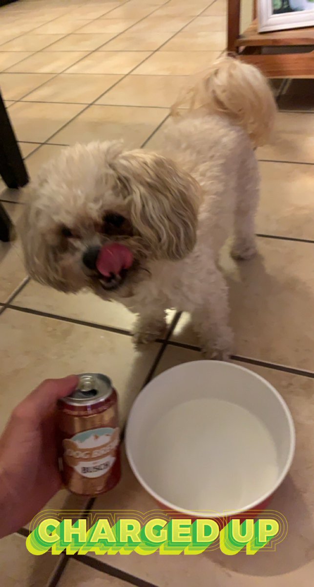 Can’t wait for a brew! <a href="/BuschBeer/">Busch Beer</a>