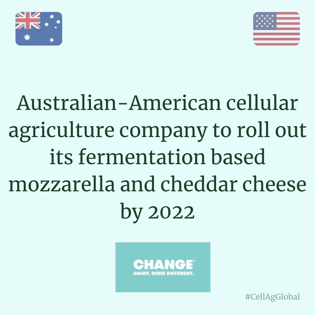 CellAgAustralia's tweet photo. .@change_foods makes dairy, but differently! They bio-engineer yeast and fungi, and use them to ferment sugars to make cheese that feel and taste like cheese! Cultured mozzarella, anyone? ๐ง
Link ๐ https://t.co/1HgiT7PEwc
#CellAgGlobal #CellullarAgriculture #animalfree #cheese https://t.co/DzOQSryxy0
