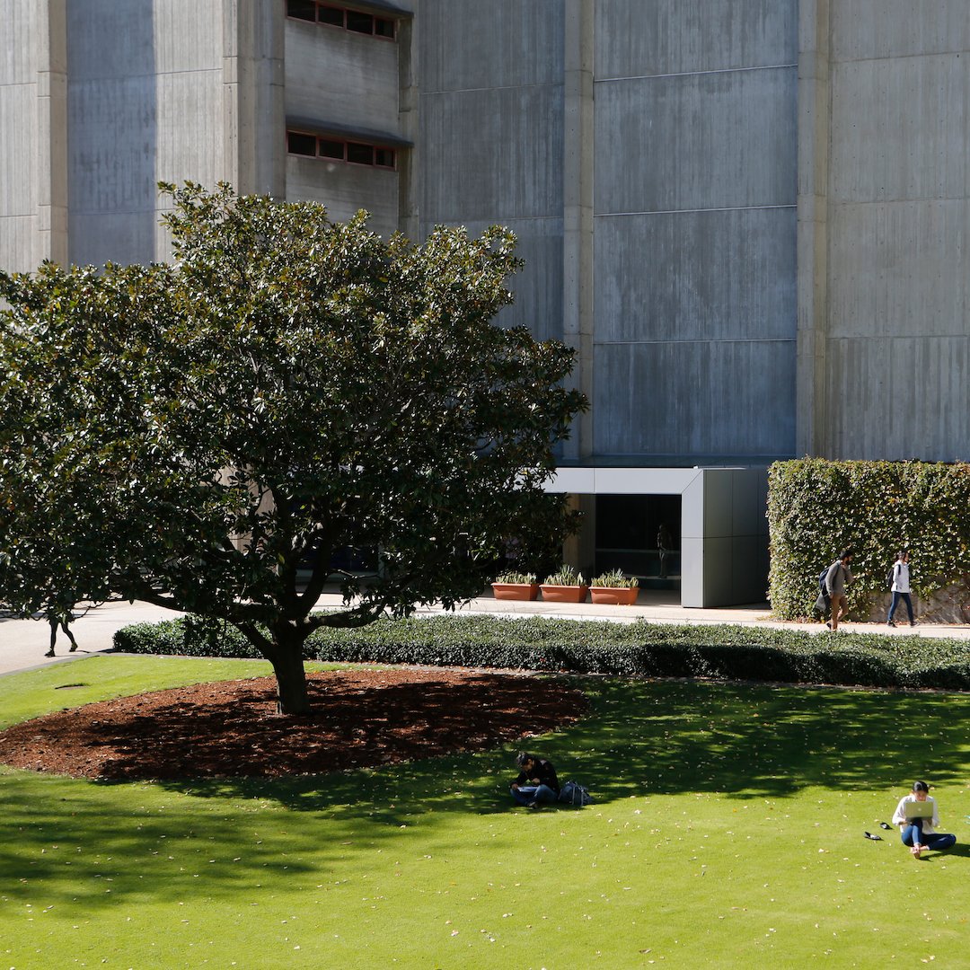 We made it! Thank you for joining us this year. We’ll be having a break, returning on 4 January - this community won’t be monitored during this time. If you’re a future student and need support, our team is available to answer your questions at unsw.to/call.