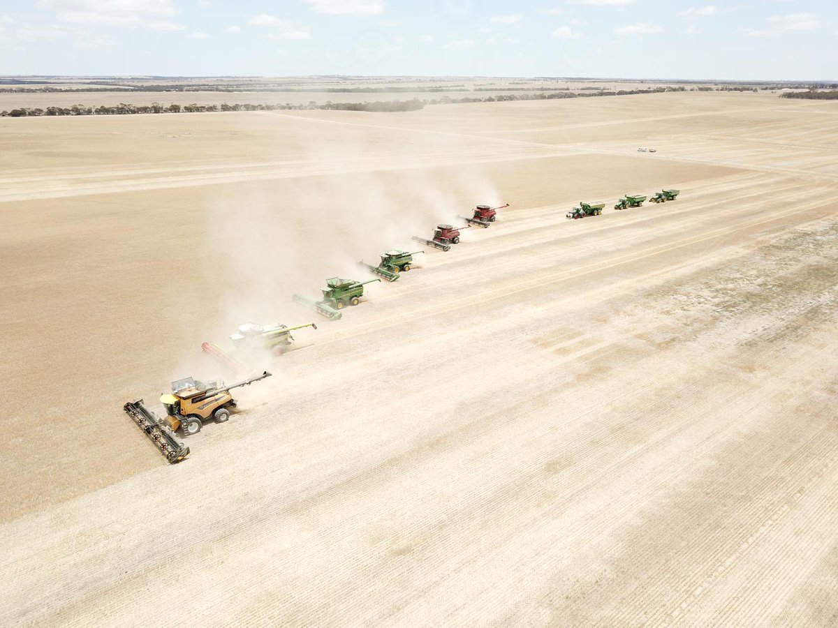 Got the community crop in the bin yesterday thanks to the help of <a href="/AFGRIAU/">AFGRI Equipment Australia</a> <a href="/FarmersCentreWA/">Farmers Centre WA</a> <a href="/mcintoshandson/">McIntosh & Son</a> Claas harvest centre and Gnowangerup fuel supplies.made light work of 380ha.