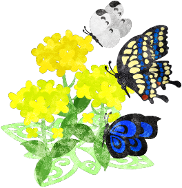 菜の花のtwitterイラスト検索結果 古い順