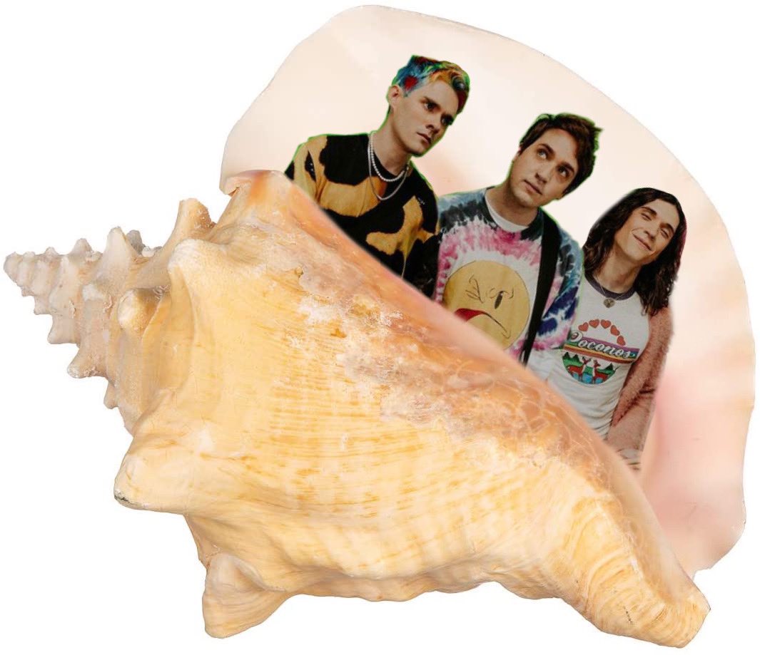 fuzzylftv's tweet photo. lowkey in a shell #LOWKEYASHELL https://t.co/VnwHe4lNDw