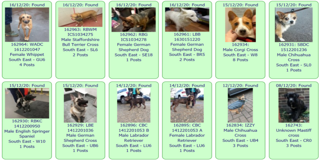 #FOUND #DOGS * SOUTH EAST * December 16th - December 8th 2020 These #FoundDogs are on the @DoglostUK site as being FOUND in our #SouthEast Area If you see your dog below go to doglost.co.uk & put the ID NUMBER (shown under photo) into the search menu for more details