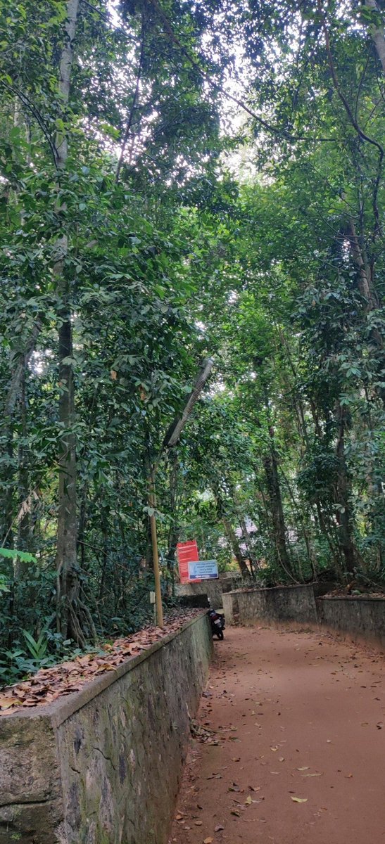 anandsp's tweet photo. I'm at Iringolkavu temple https://t.co/rKYQPalfb6 https://t.co/S0ogw6OKun