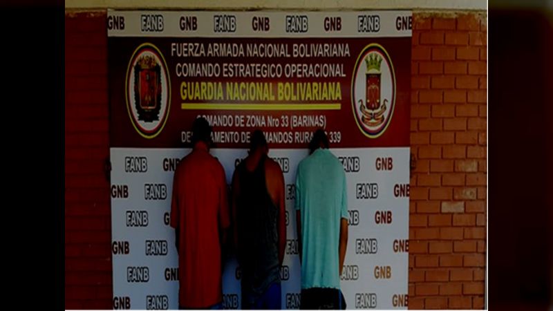 Tcnel Ramón Leal García (@gaes43_cmdte) on Twitter photo #24Dic La Guardia Nacional Bolivariana #GNB desarticuló banda el Gedo en Barinas. mazo4f.com/232798 #UnidadLuchaBatallaYVictoria #FANB #GNByPuebloUnido
#FelizNavidadVenezuela
.<a href="/FabioZavarsep/">Fabio Enrique Zavarse Pabón</a>
.<a href="/GNBGDjuvenal/">Juvenal Fernández 30k</a> #24Dic La Guardia Nacional Bolivariana #GNB desarticuló banda el Gedo en Barinas. mazo4f.com/232798 #UnidadLuchaBatallaYVictoria #FANB #GNByPuebloUnido
#FelizNavidadVenezuela
.<a href="/FabioZavarsep/">Fabio Enrique Zavarse Pabón</a>
.<a href="/GNBGDjuvenal/">Juvenal Fernández 30k</a>
