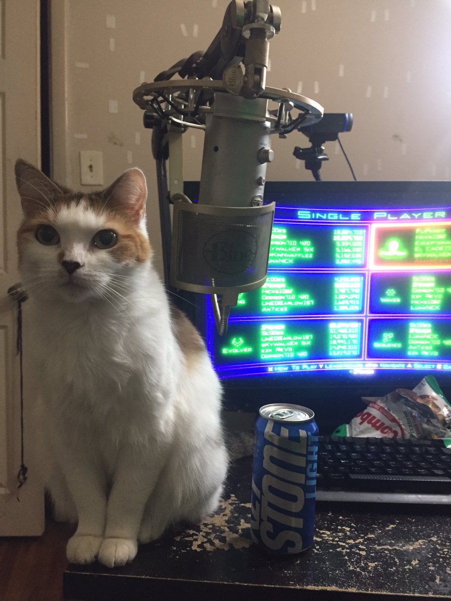 z4cker's tweet image. Ez #ad my cats name is cali and she chills during gaming/stream time. Also, #tinytip official launch I own that copy rite it