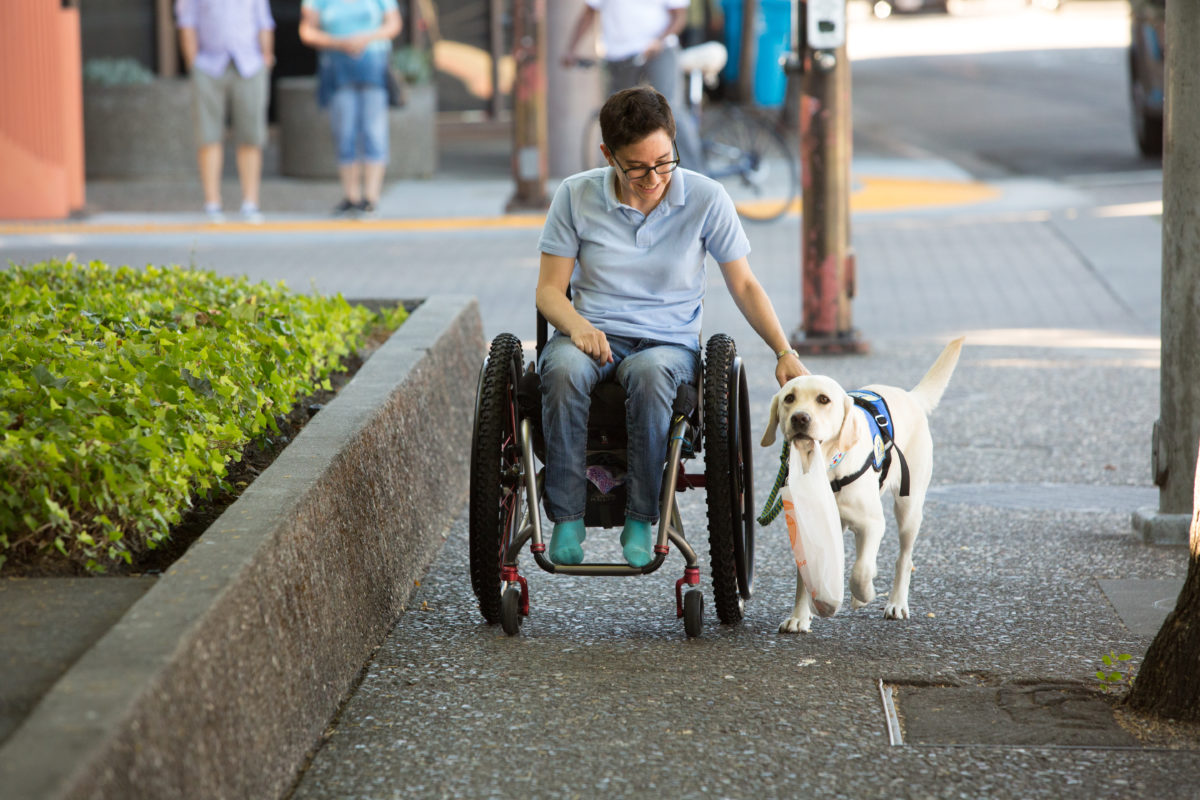 servicedogsnews's tweet image. When a Patient Has a Service Dog - DailyNurse dlvr.it/RpGlp9