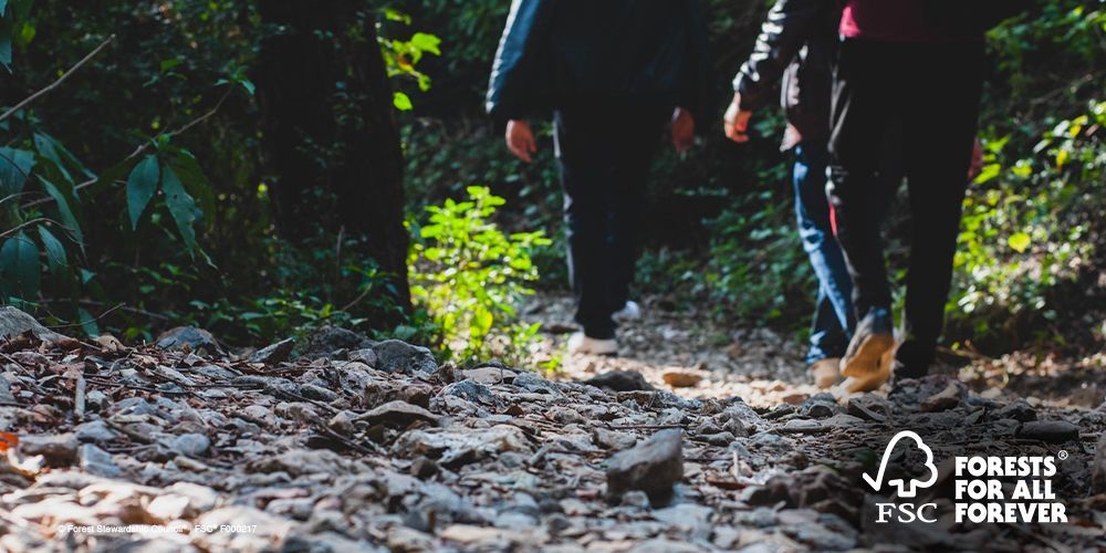 FSCItalia's tweet photo. Il cammino attraversa la #foresta e non è mai lungo se si ama la persona che si va a trovare - Proverbio africano #FSCquotes https://t.co/tit3LOCAlB
